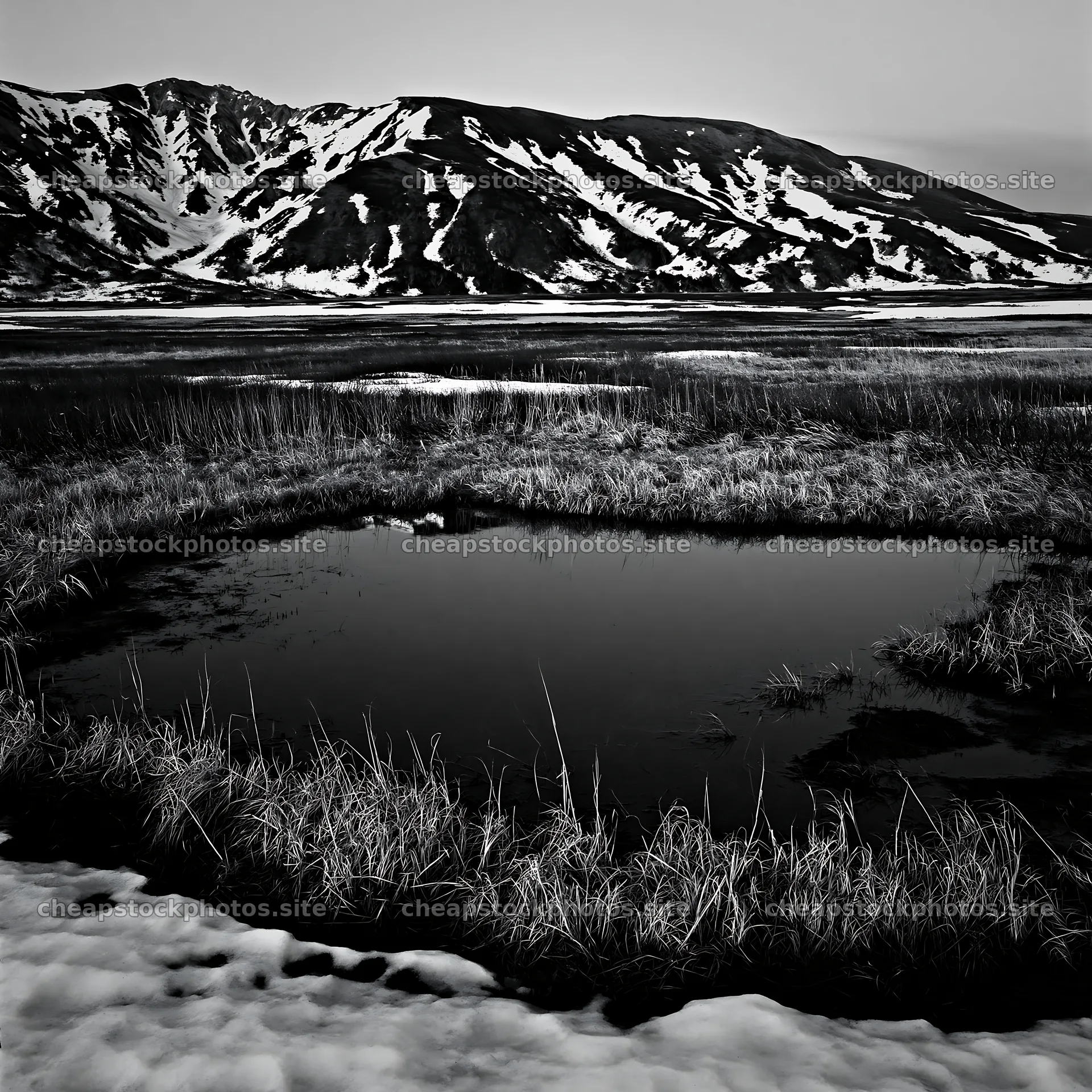 Akita snowmelt meadow with silver grasses during spring – stock photos 7938x7938
