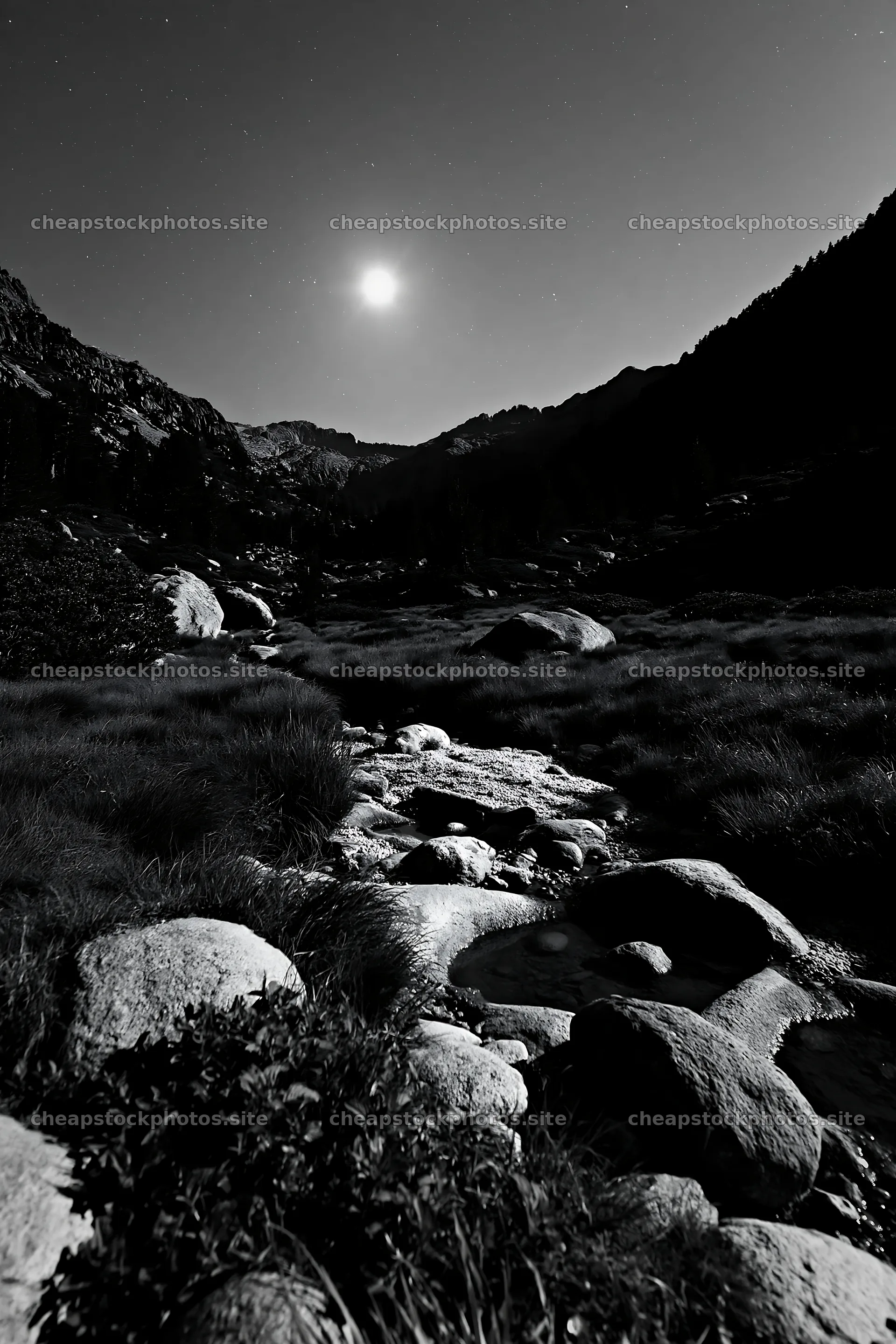 Moonlit meadow with rocks and stream at night – stock photos 6480x9722