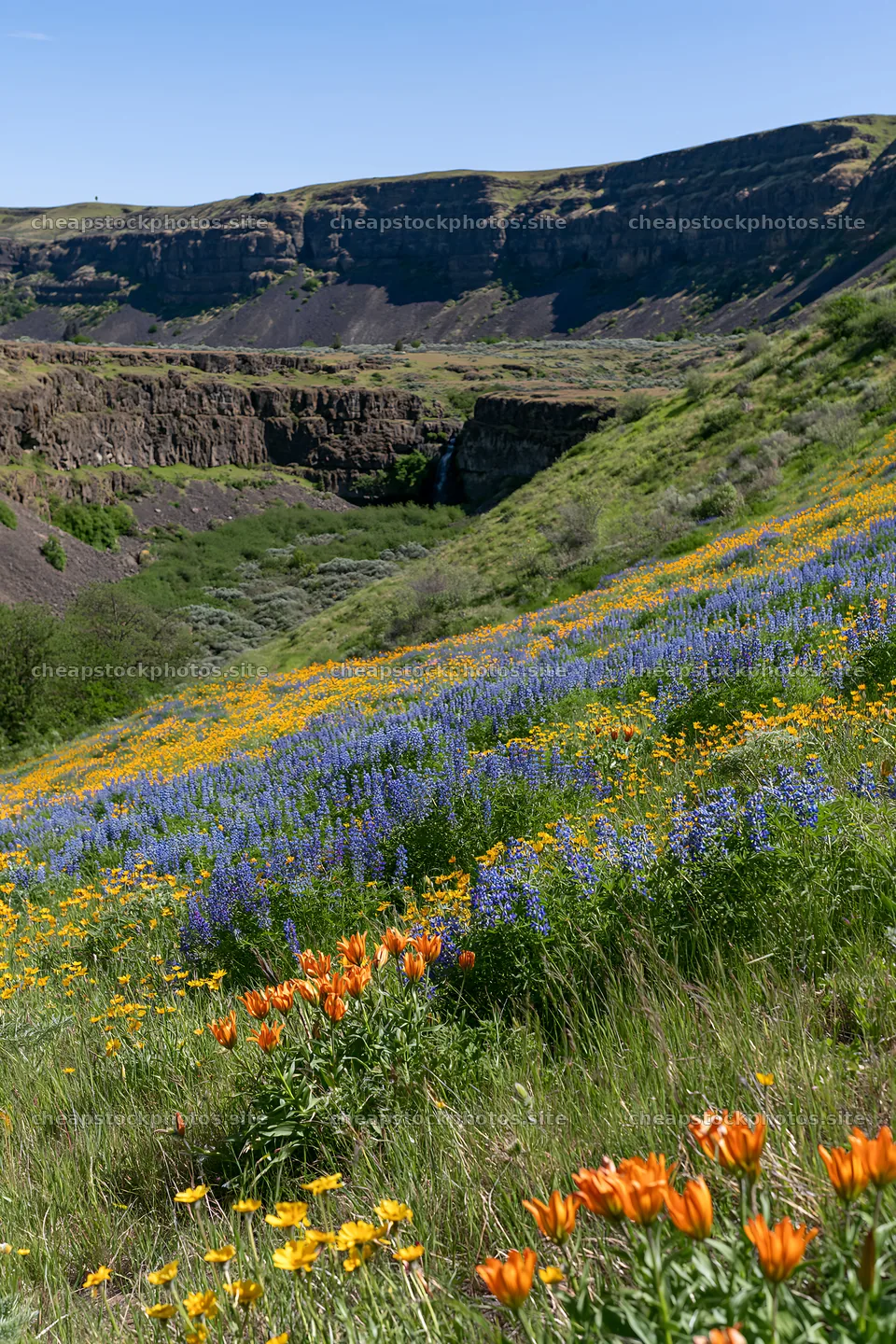 Flower meadow with cascades in the background – stock photos 6480x9722