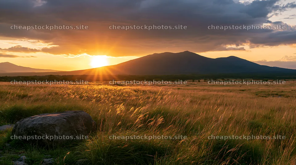 Aomori climate resilient meadow with boulder at sunset – stock photos 10608x5938