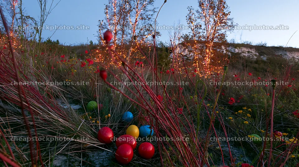 Open Christmas meadow with poppy stems and decorative lights – stock photos 10608x5938