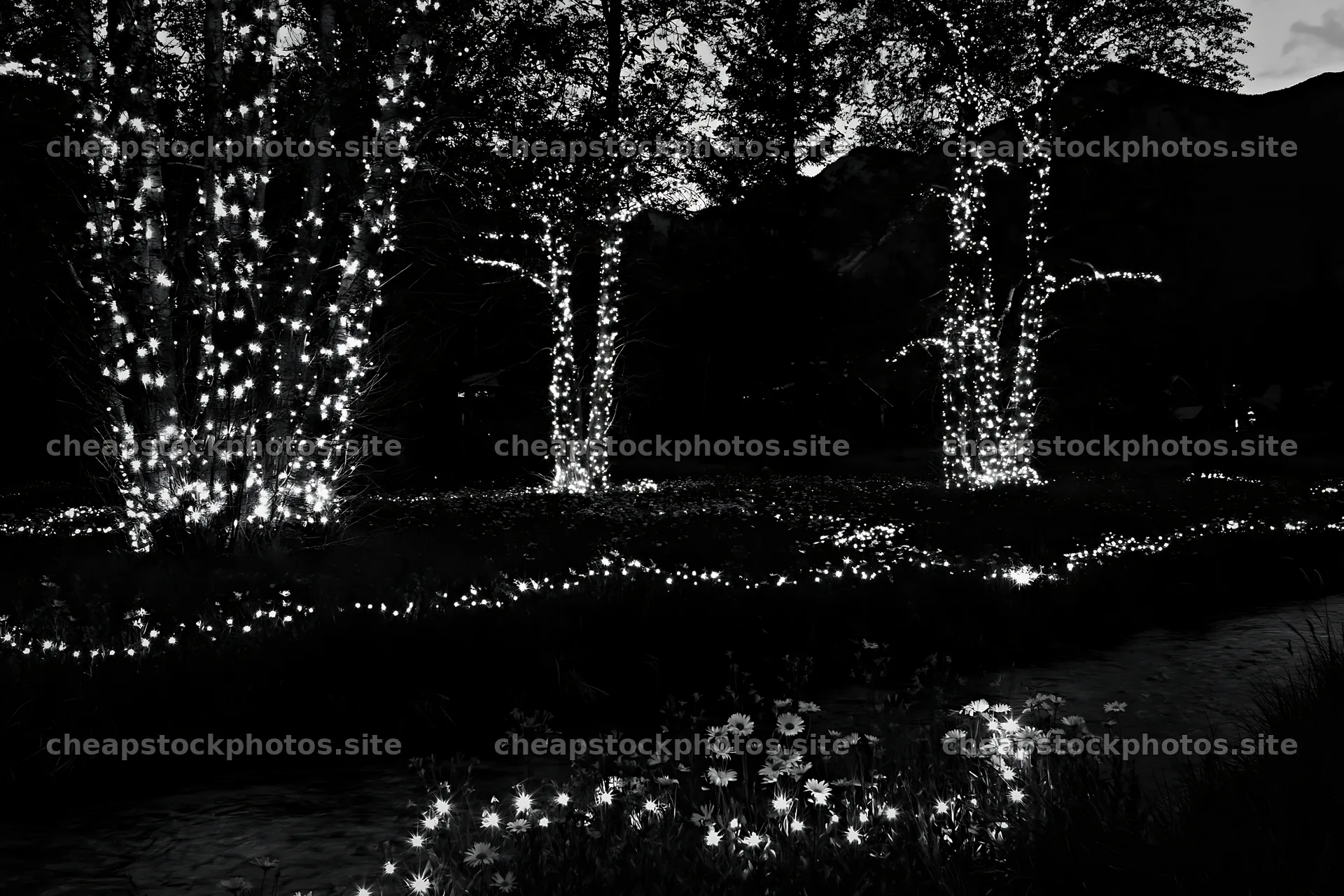 Christmas lights beside stream in meadow at dusk – stock photos 9722x6480