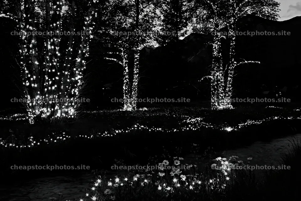 Christmas lights beside stream in meadow at dusk – stock photos 9722x6480