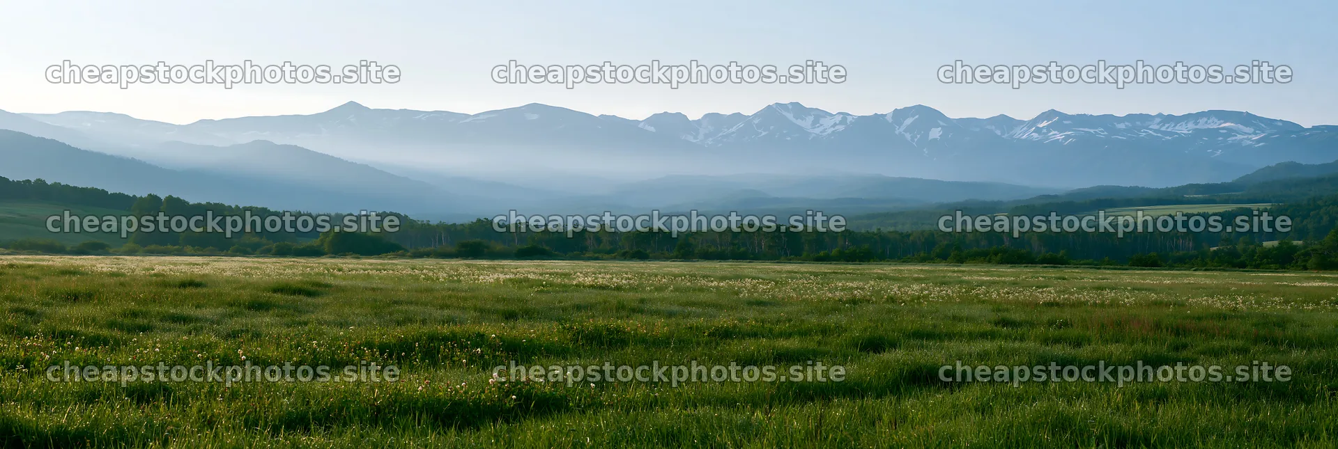 Expansive Hokkaido meadow with dewdrops at sunrise – stock photos 13690x4602