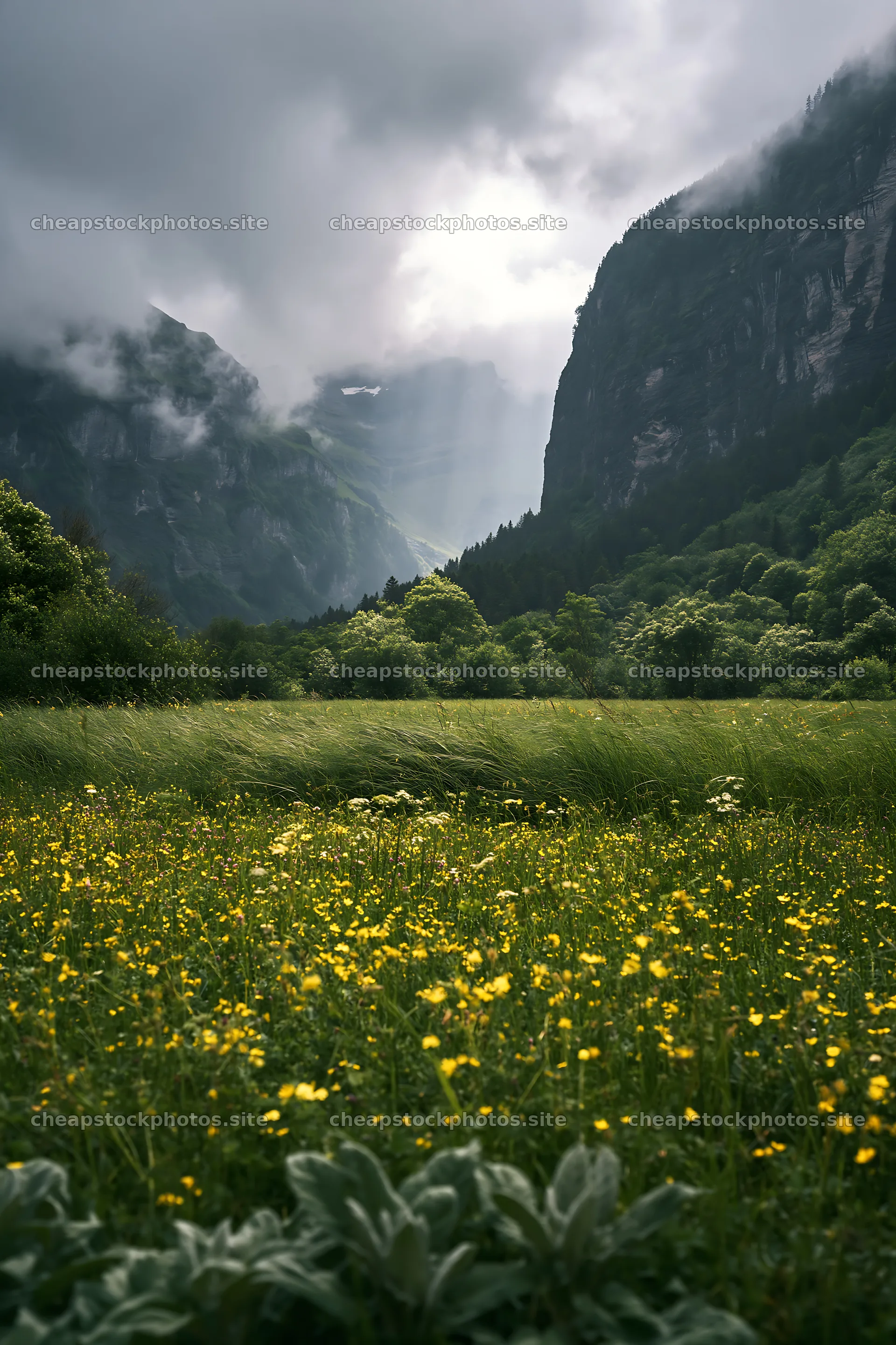 Lauterbrunnen Valley meadow with light rays through mountains – stock photos 6480x9722