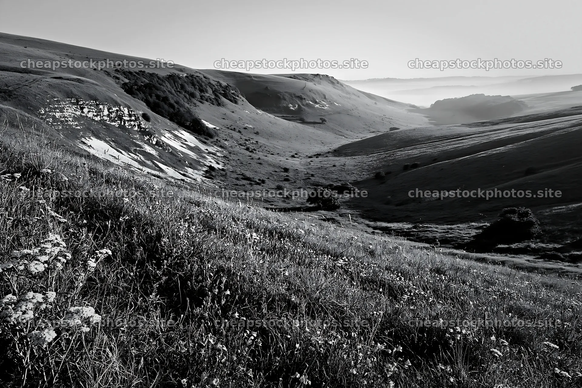 Chalk meadow with rolling hills under sunny sky – stock photos 9722x6480