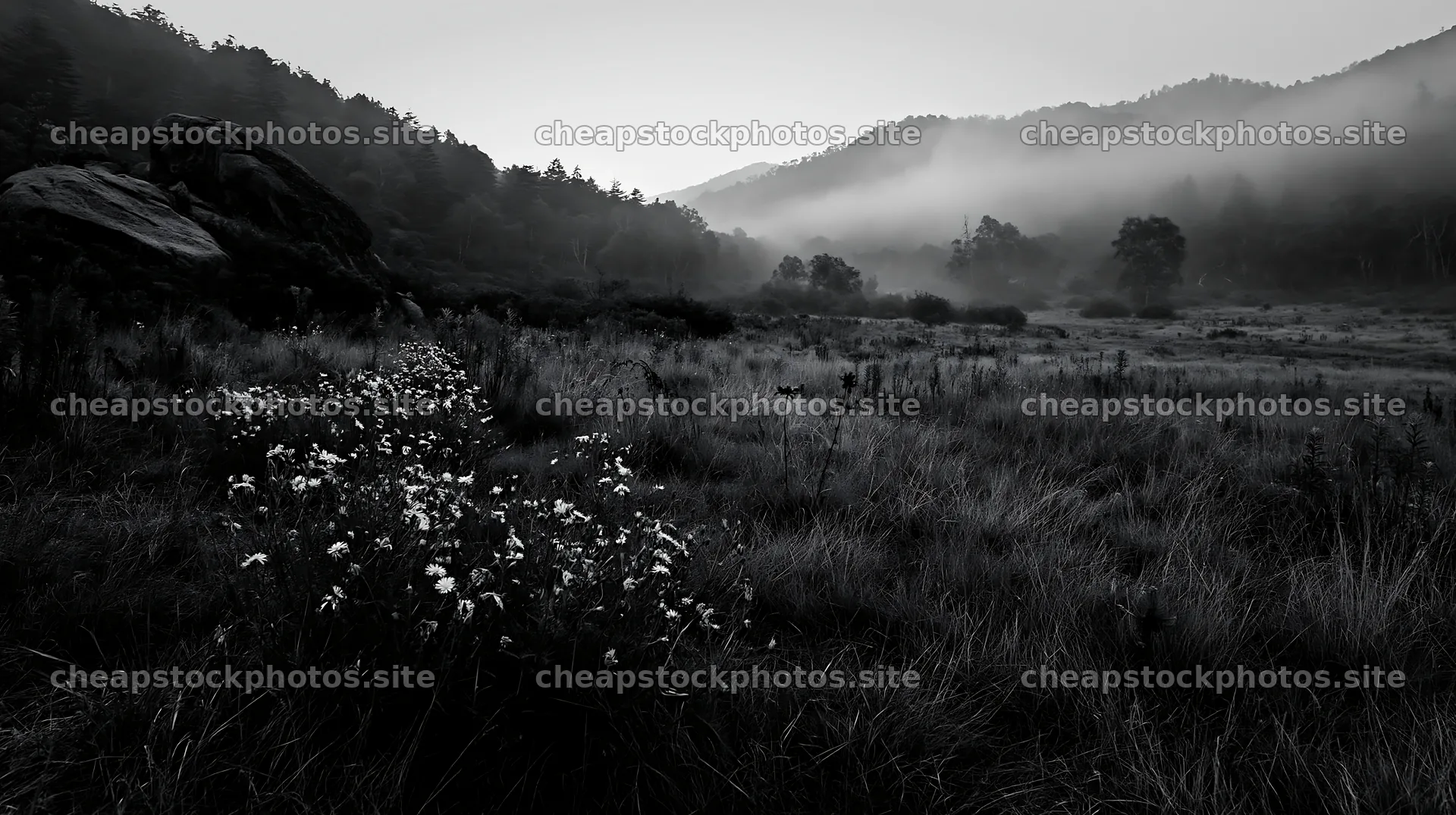 Nagano drought resilient meadow granite boulder in fog – stock photos 10608x5938