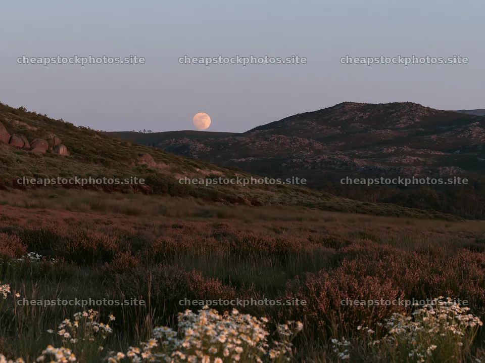 Moonrise over meadow with flowers and hills in evening light – stock photos 9174x6866