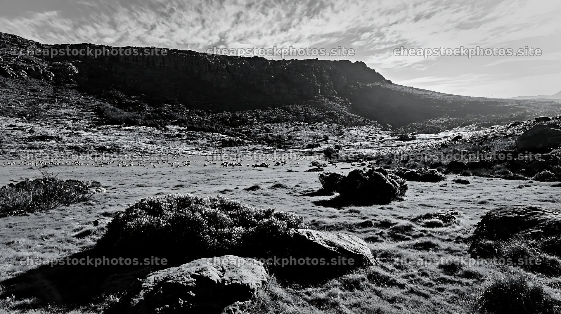 Biodiverse meadow with rocky hills under a cloudy sky – stock photos 10608x5938