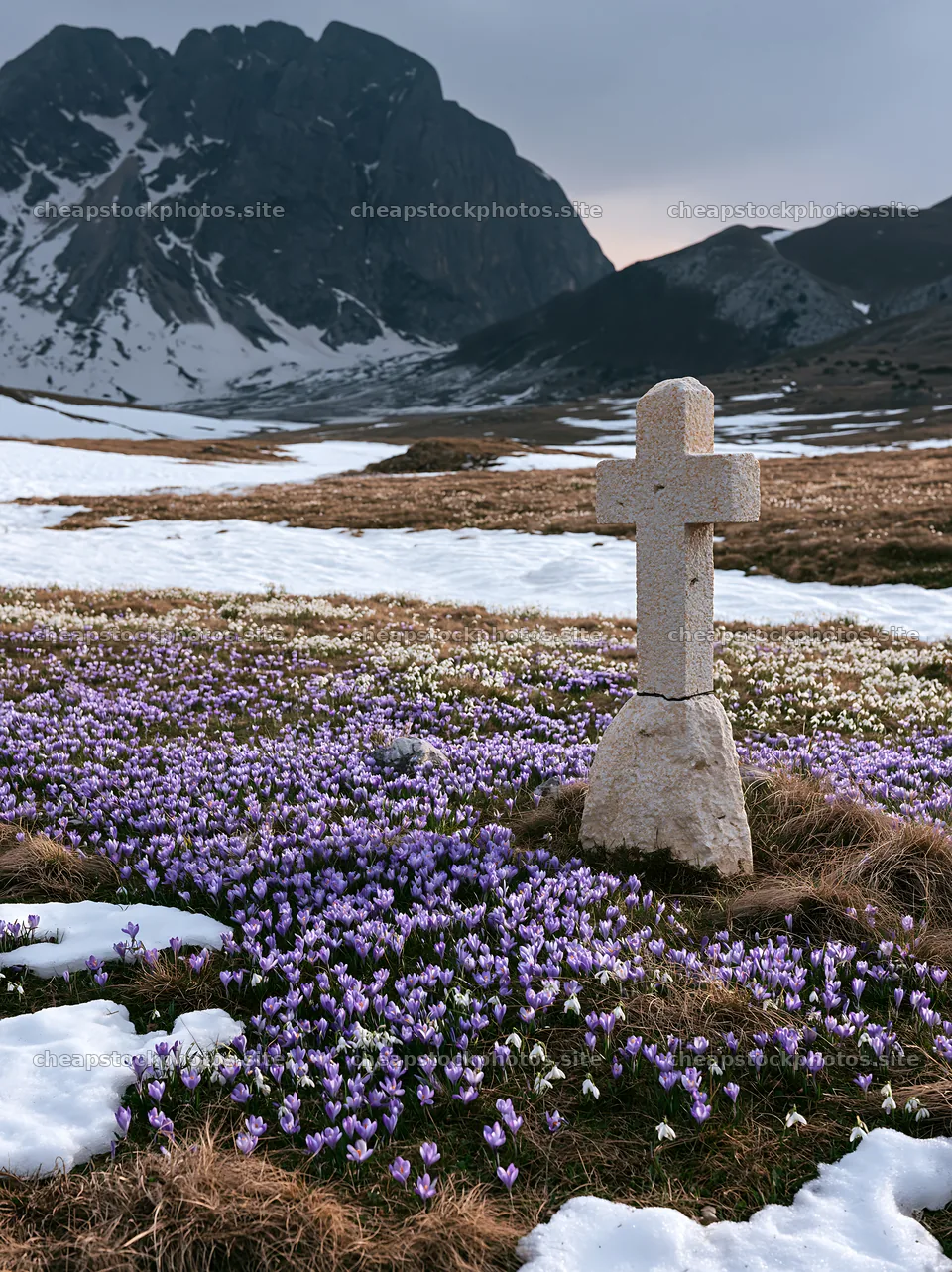 Stone Christian cross in snowy meadow with blooming flowers – stock photos 6866x9174