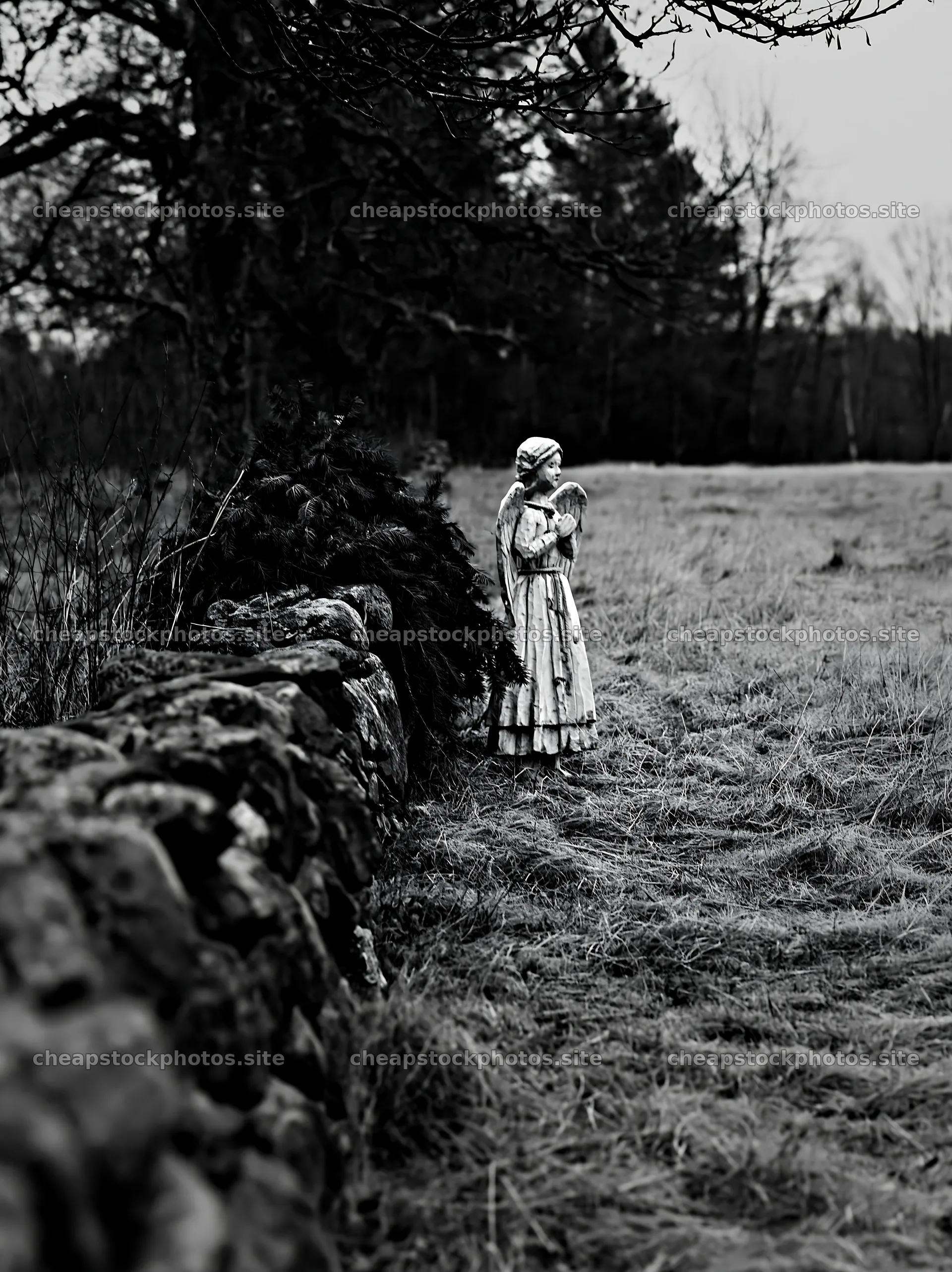 Christmas angel in meadow with stone wall – stock photos 6866x9174