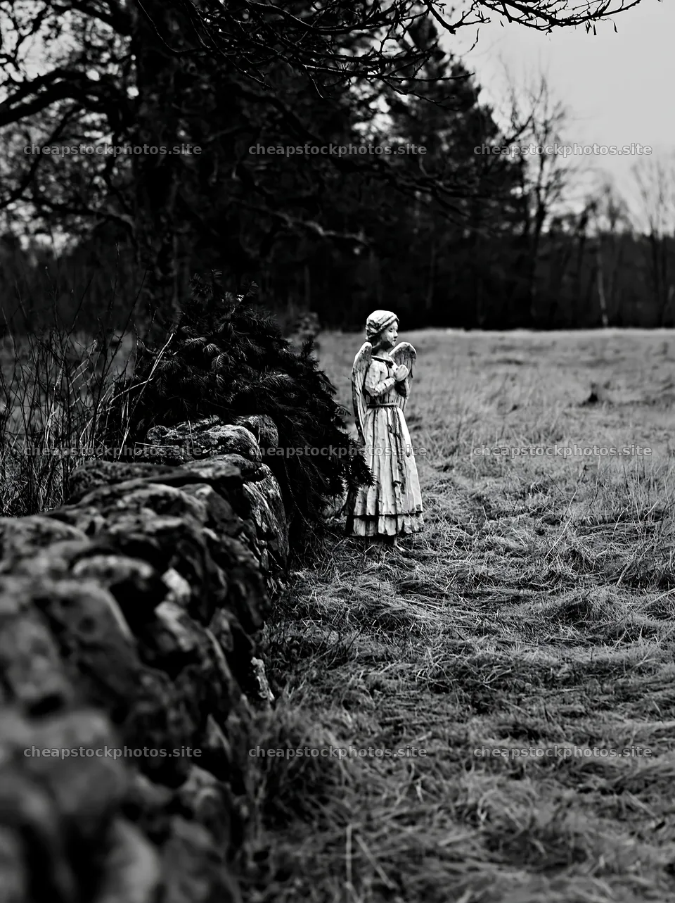 Christmas angel in meadow with stone wall – stock photos 6866x9174