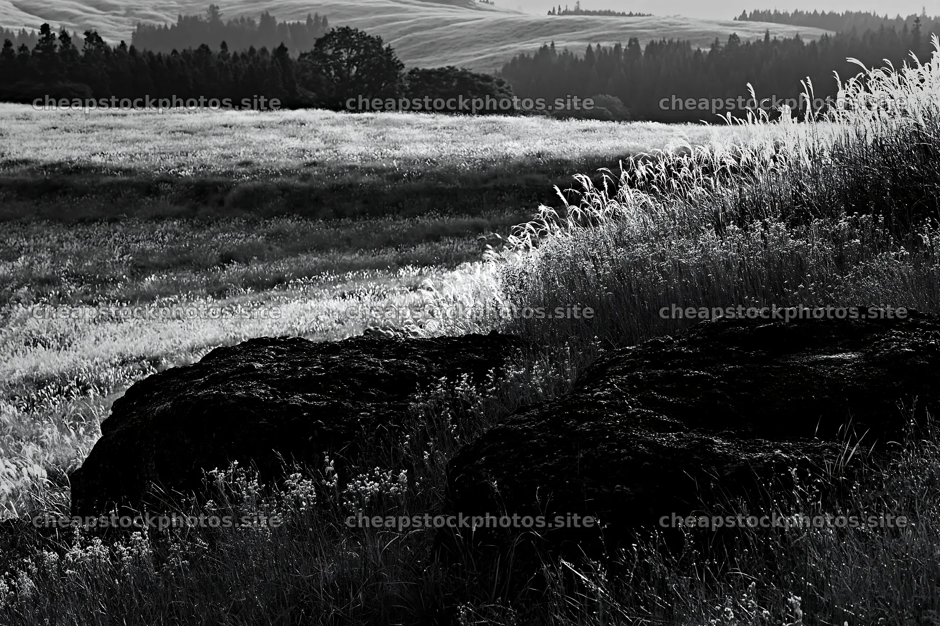 Restored Kumamoto silver grass meadow with boulders – stock photos 9722x6480