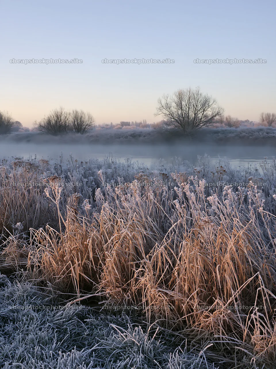 Frost-touched meadow with trees and water at dawn – stock photos 6866x9174