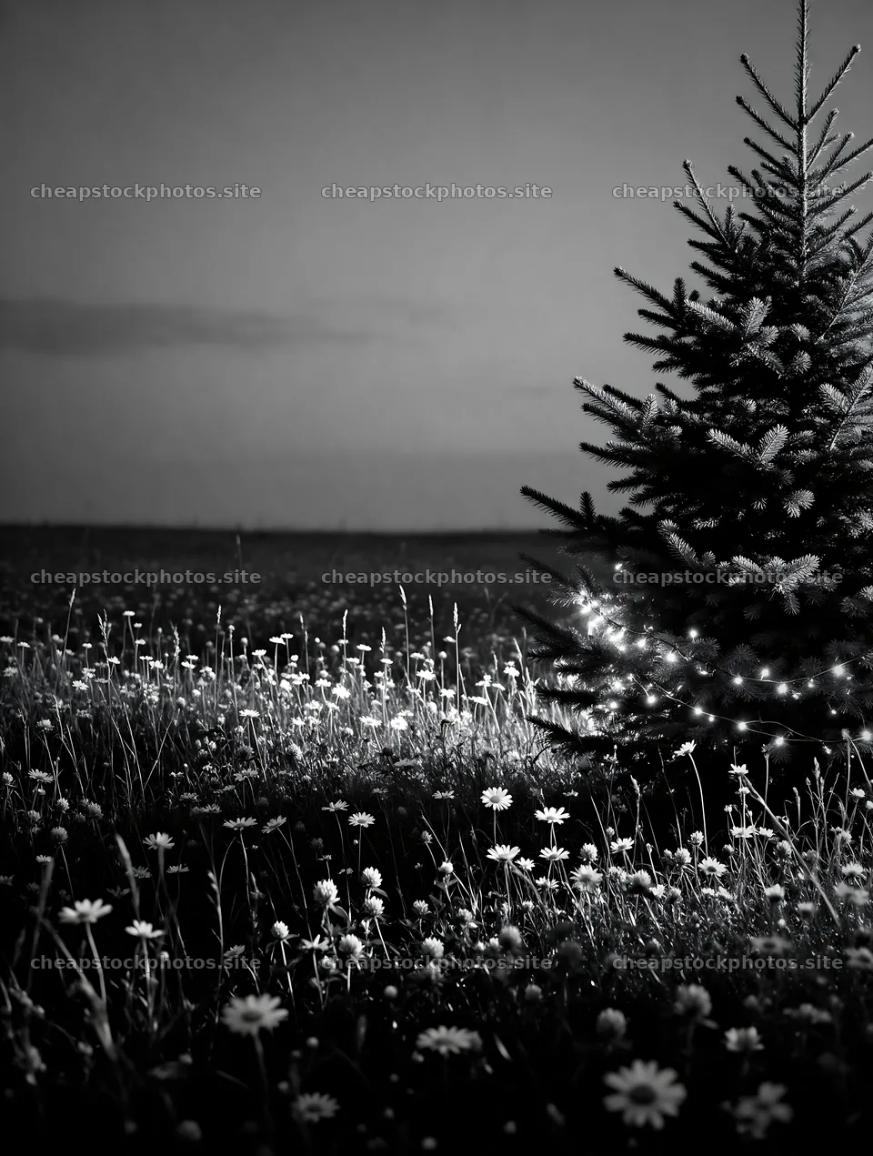 Vibrant Christmas tree in meadow at dusk – stock photos 6898x9134