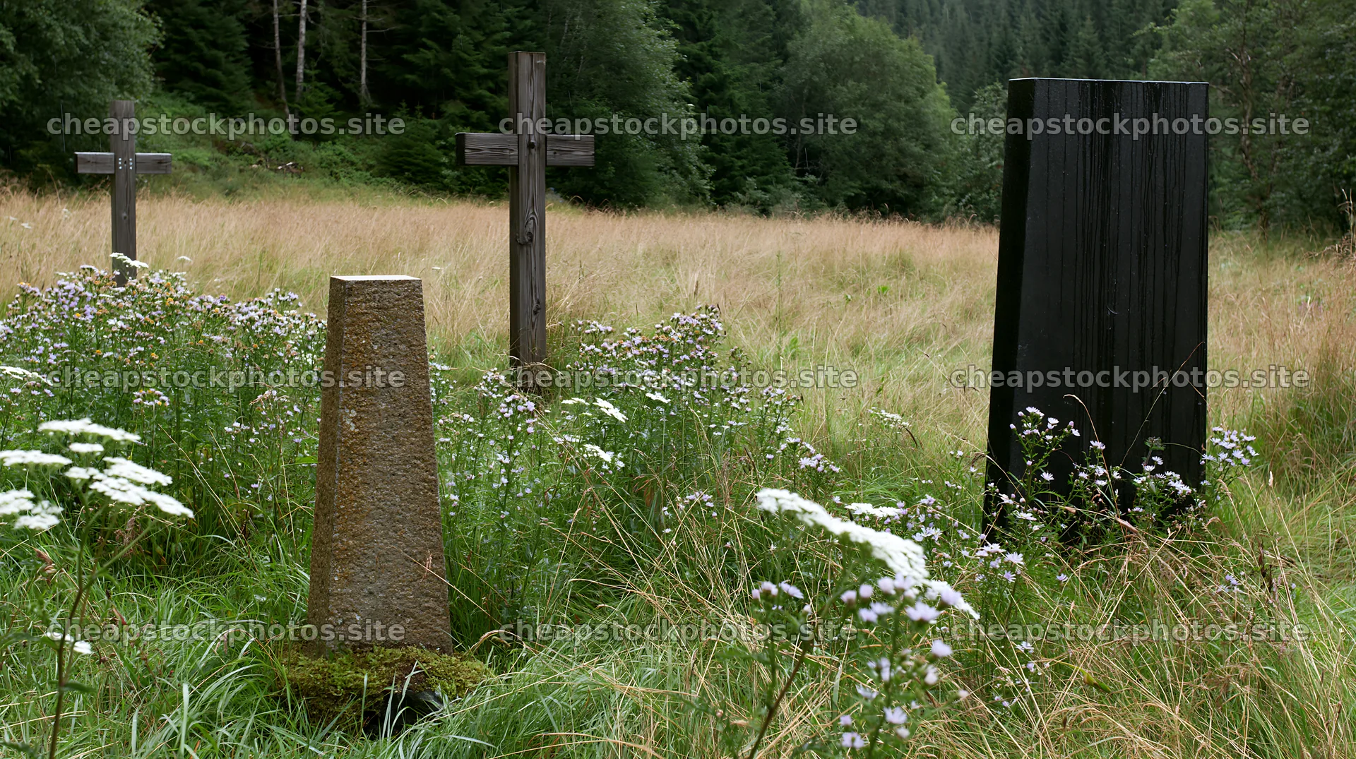 Christian crosses in conservation meadow with wildflowers – stock photos 10608x5938