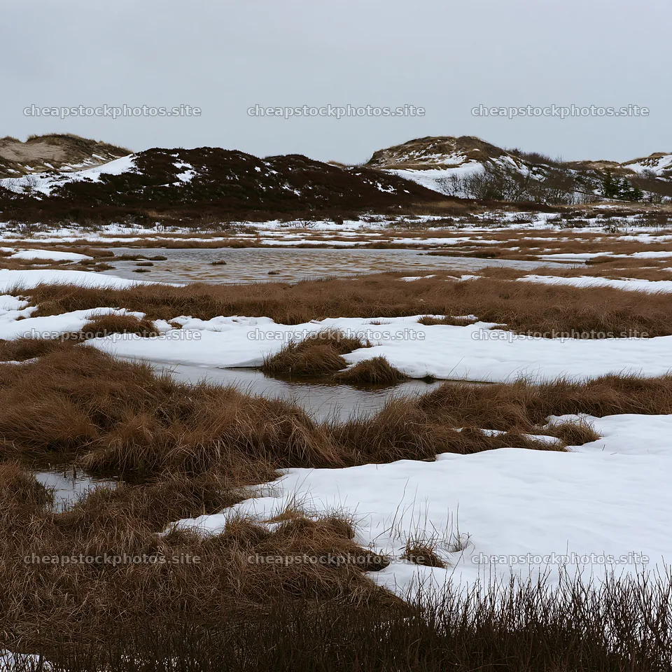 Dune meadow with snow and water in a natural landscape – stock photos 7938x7938