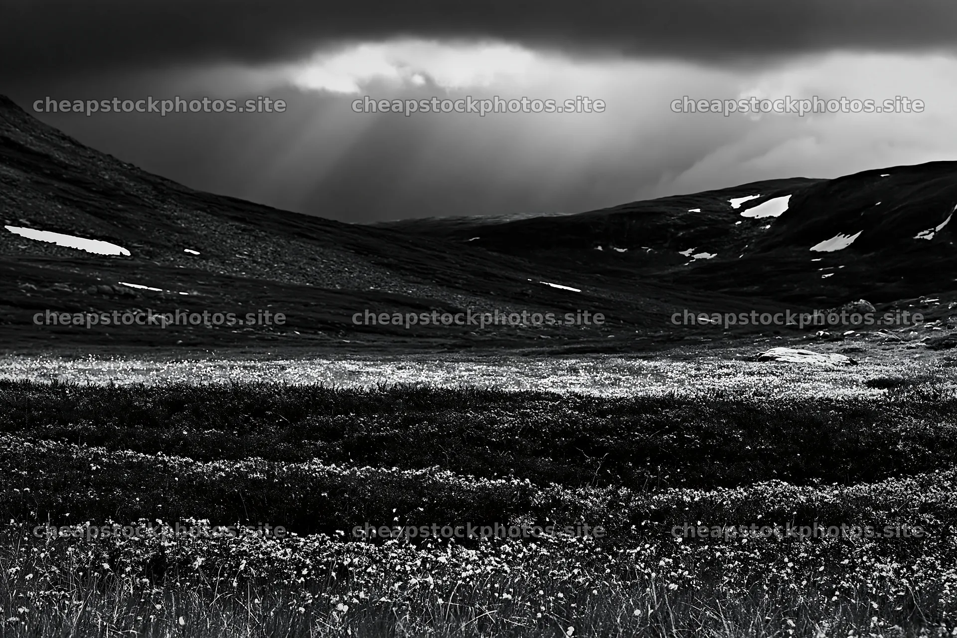 Sunbeams shine on Jotunheimen valley meadow – stock photos 9722x6480