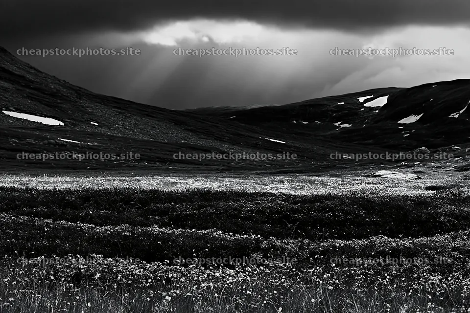 Sunbeams shine on Jotunheimen valley meadow – stock photos 9722x6480