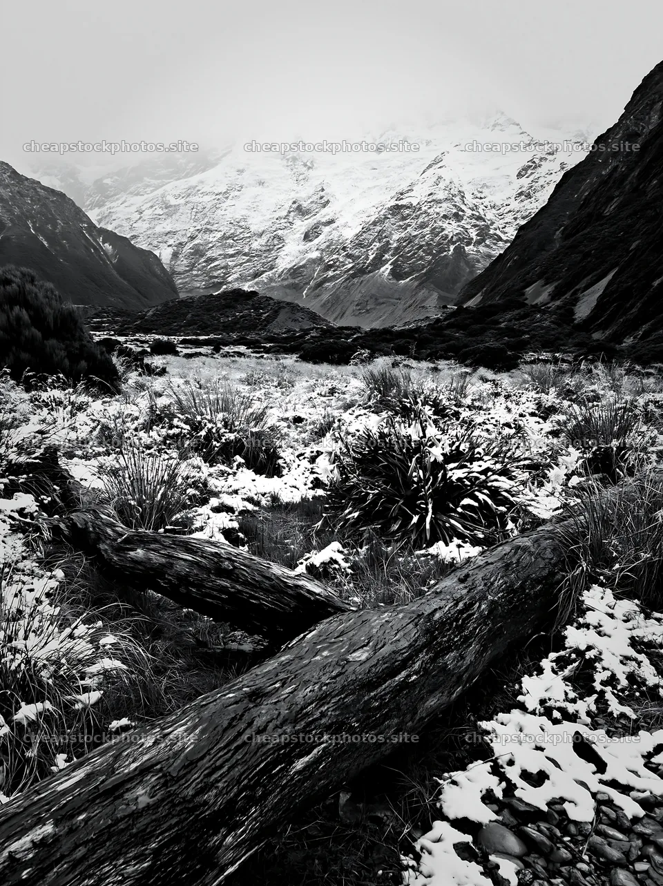Weathered log in a snow-covered meadow with mountains – stock photos 6866x9174