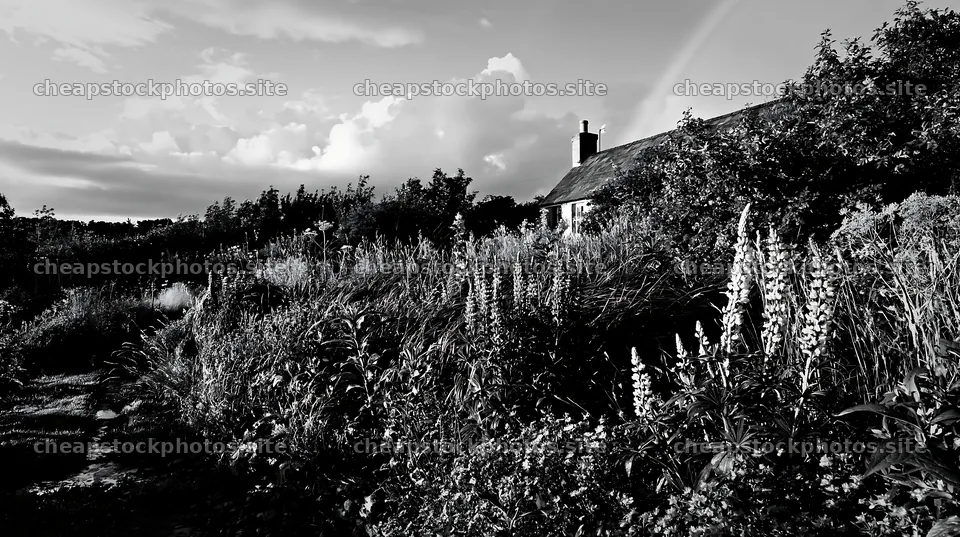 Cottage garden after storm – stock photos 10608x5938