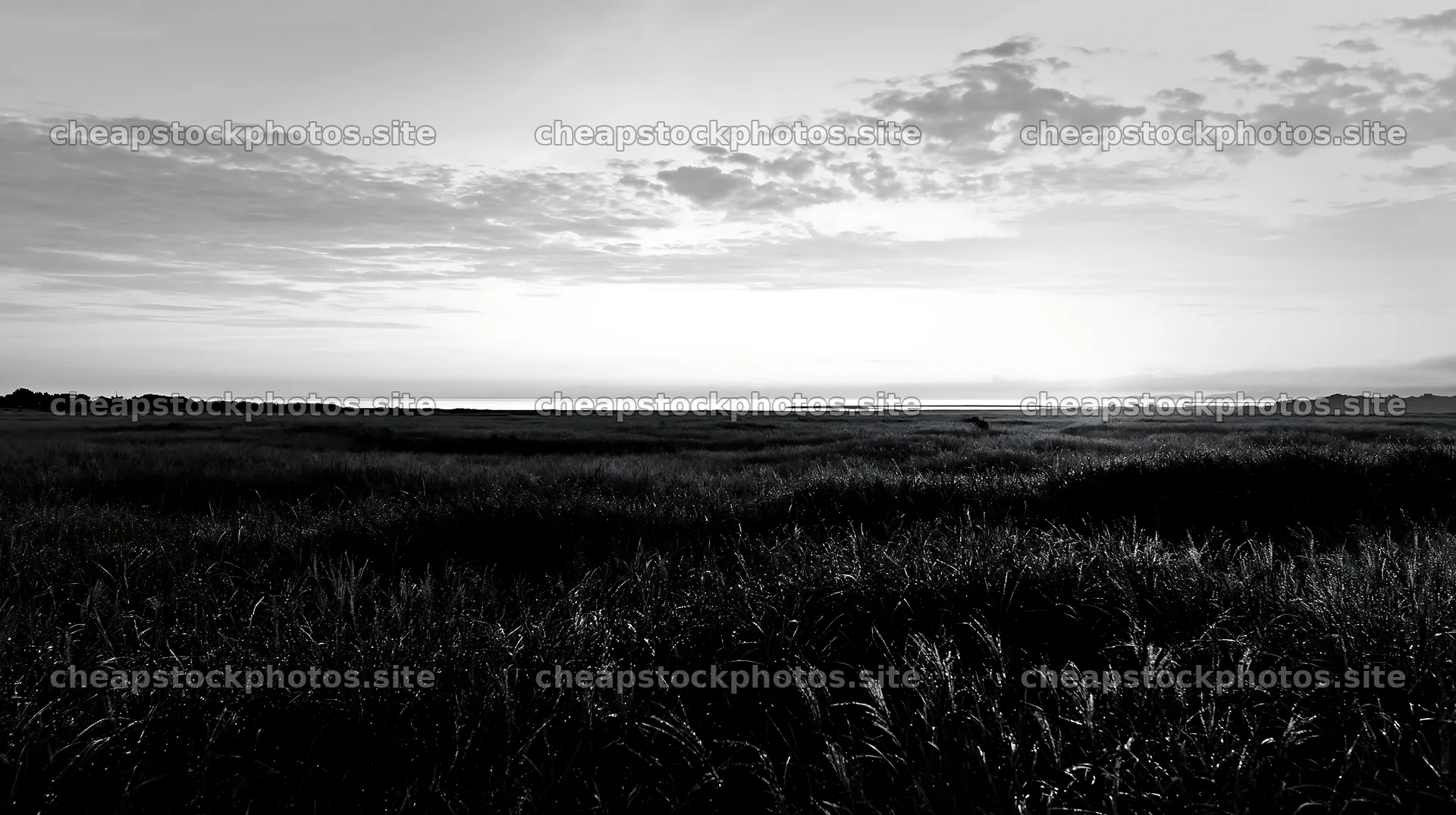 Miyazaki sunrise meadow dew covered sedges at dawn – stock photos 10608x5938