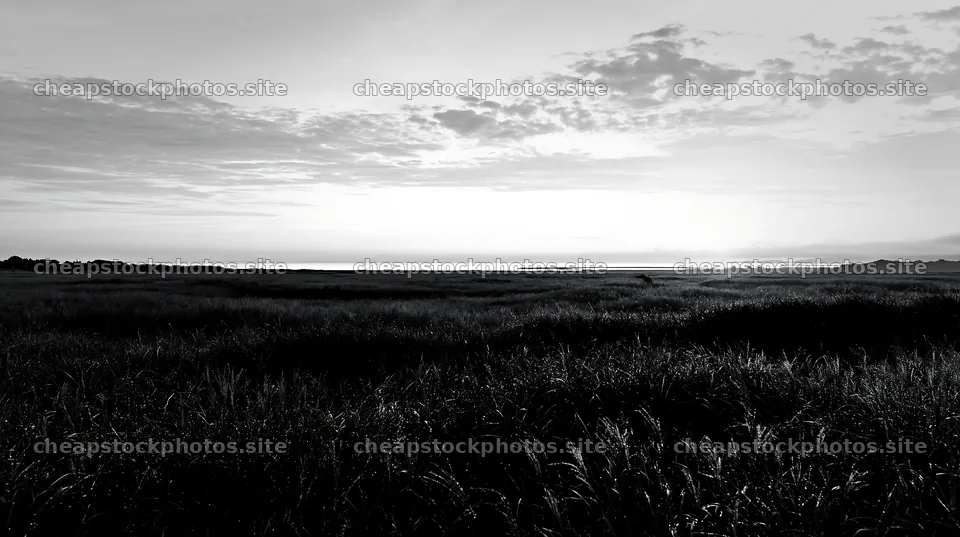 Miyazaki sunrise meadow dew covered sedges at dawn – stock photos 10608x5938