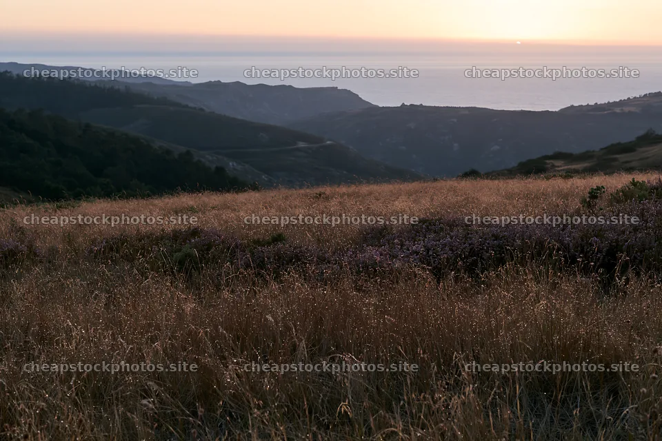 Portuguese meadow above Atlantic coast at sunset – stock photos 9722x6480