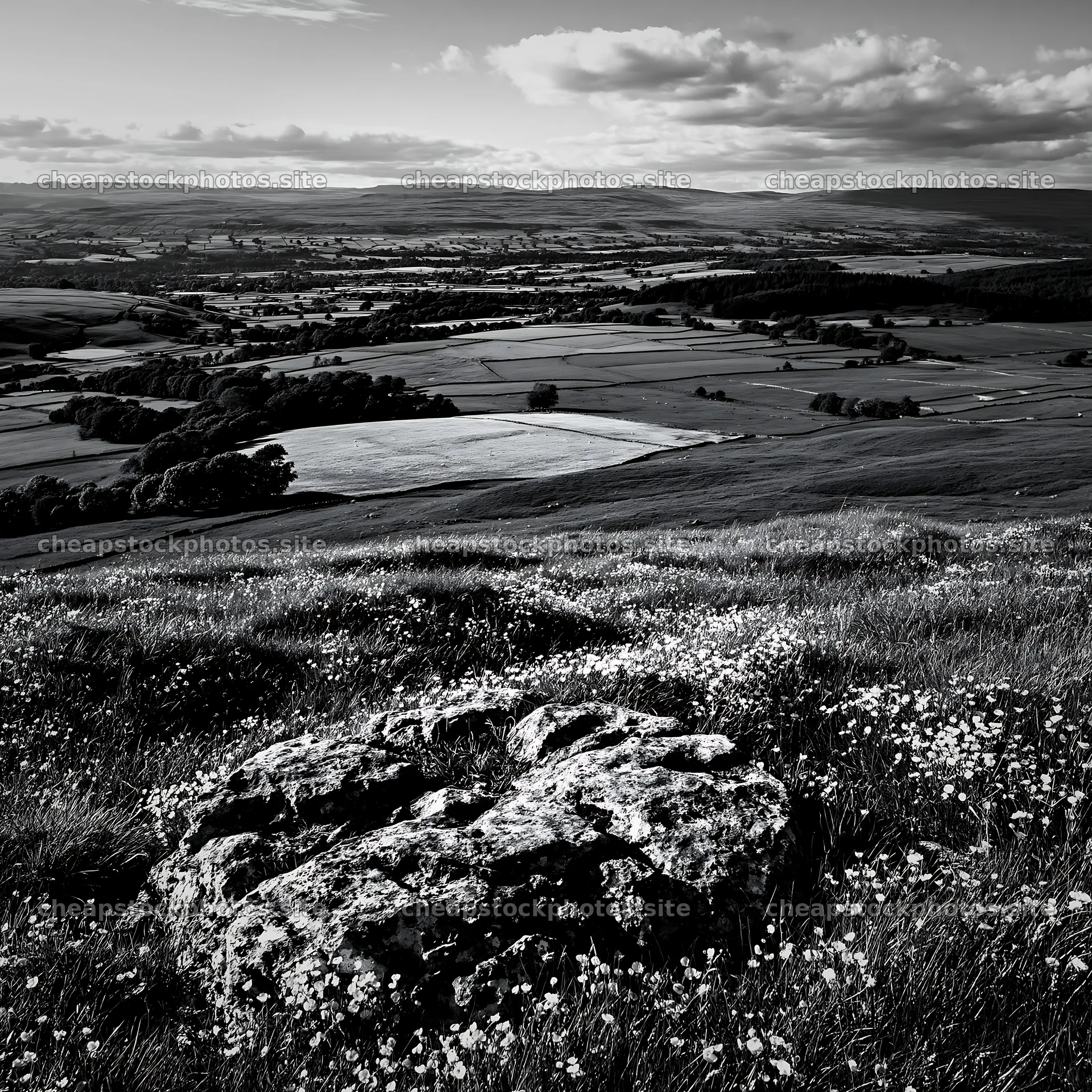 Yorkshire Dales buttercup hay meadow with rock formation – stock photos 7938x7938