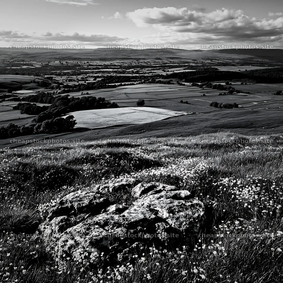 Yorkshire Dales buttercup hay meadow with rock formation – stock photos 7938x7938