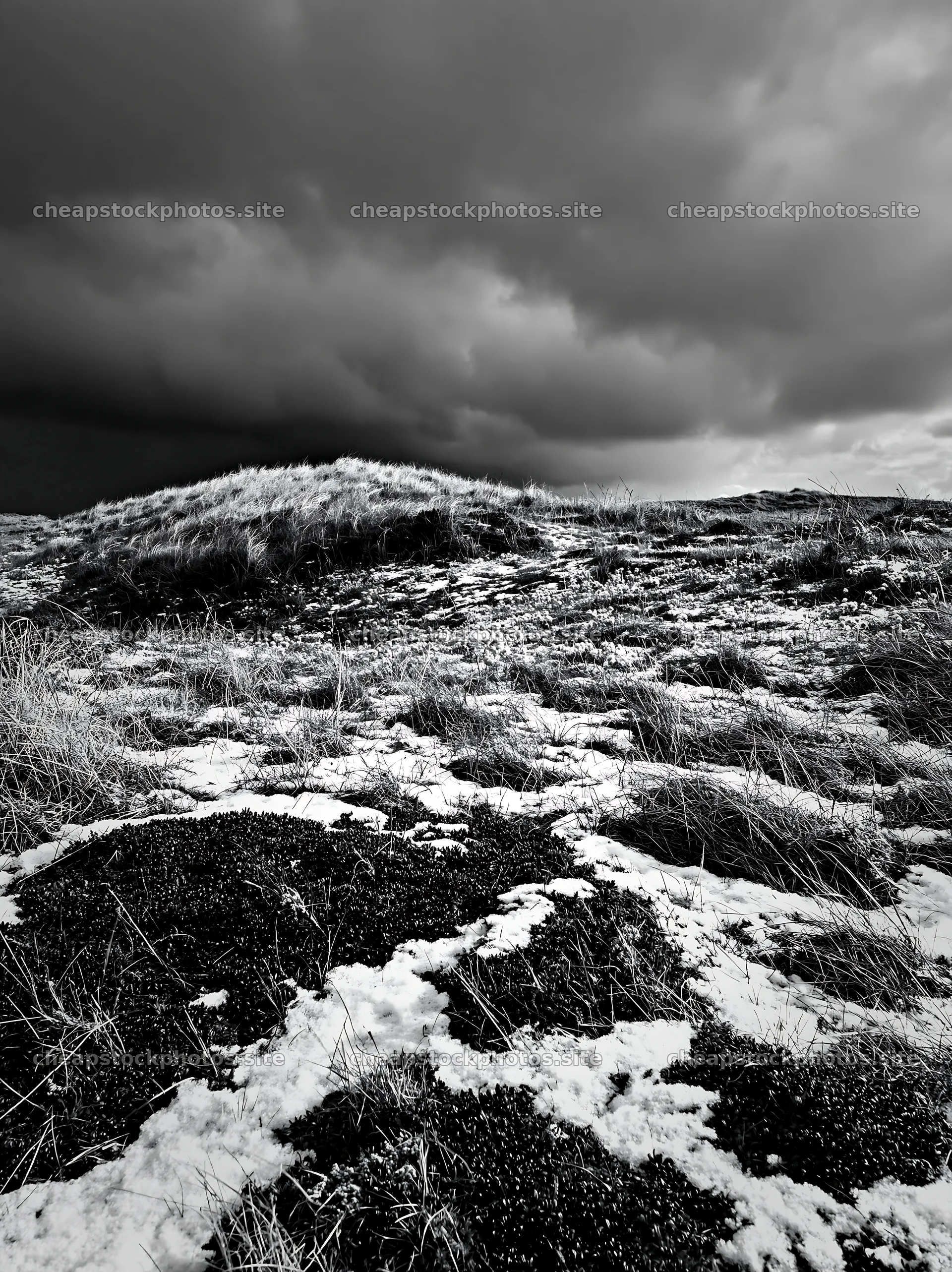 Dune meadow covered in snow under dark clouds – stock photos 6866x9174