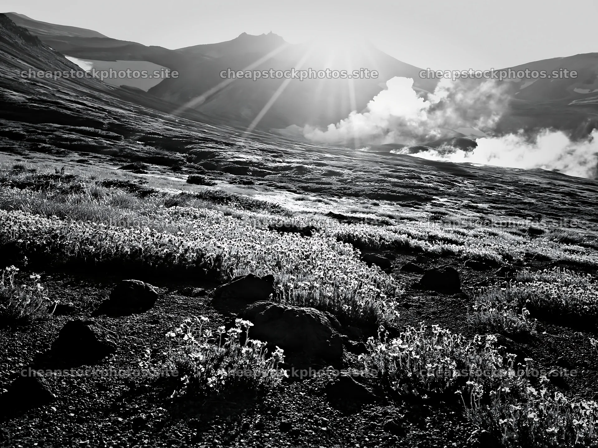 Daisetsuzan alpine meadow with light rays at sunrise – stock photos 9174x6866