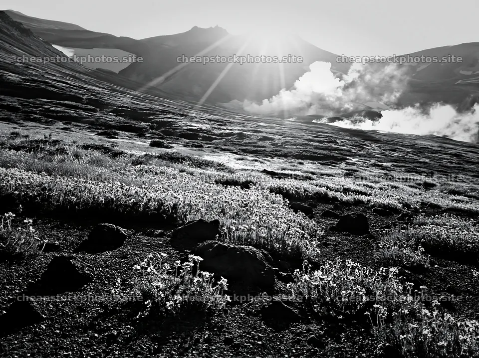Daisetsuzan alpine meadow with light rays at sunrise – stock photos 9174x6866