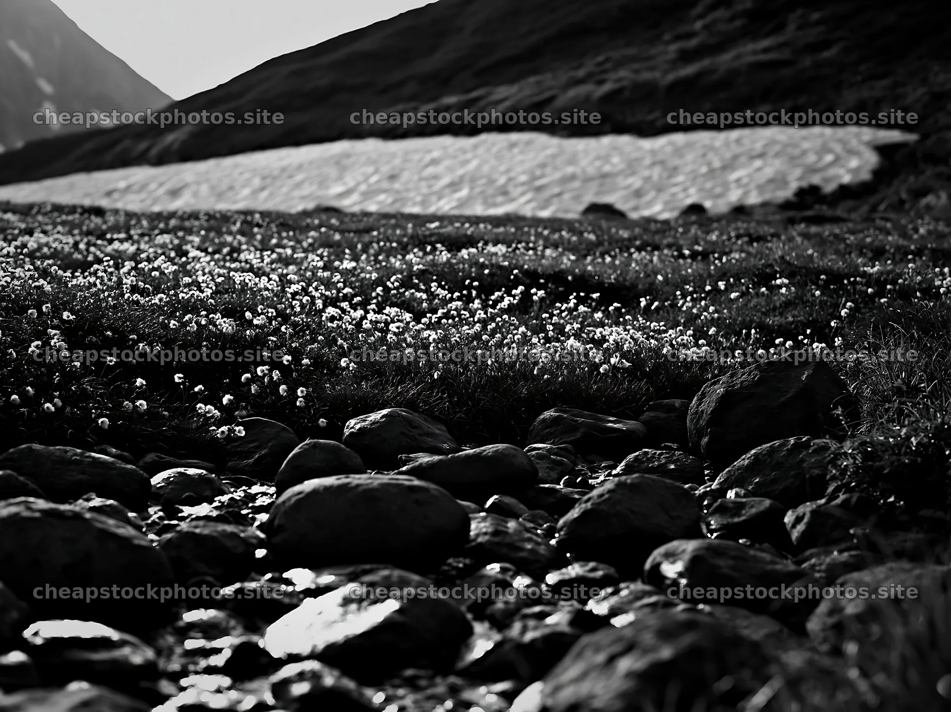 Toyama alpine meadow snowmelt rock foreground with dandelions – stock photos 9174x6866