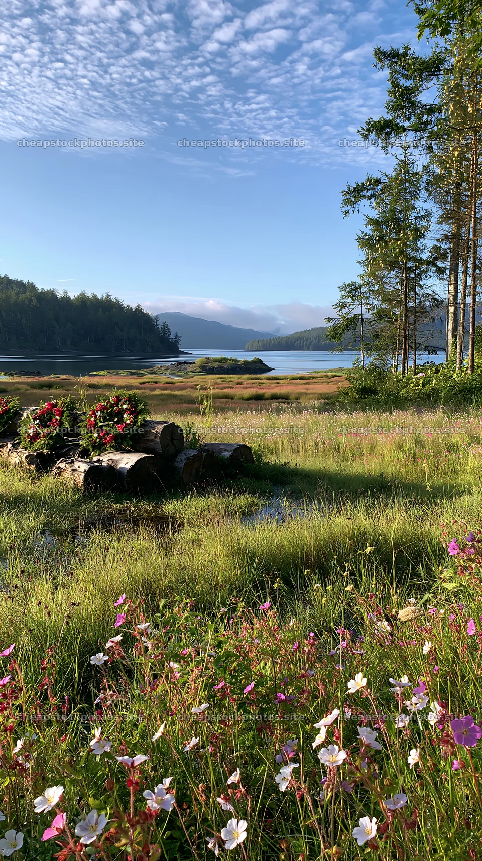 Expansive meadow scene with rainwater retention and floral wreaths – stock photos 5938x10608