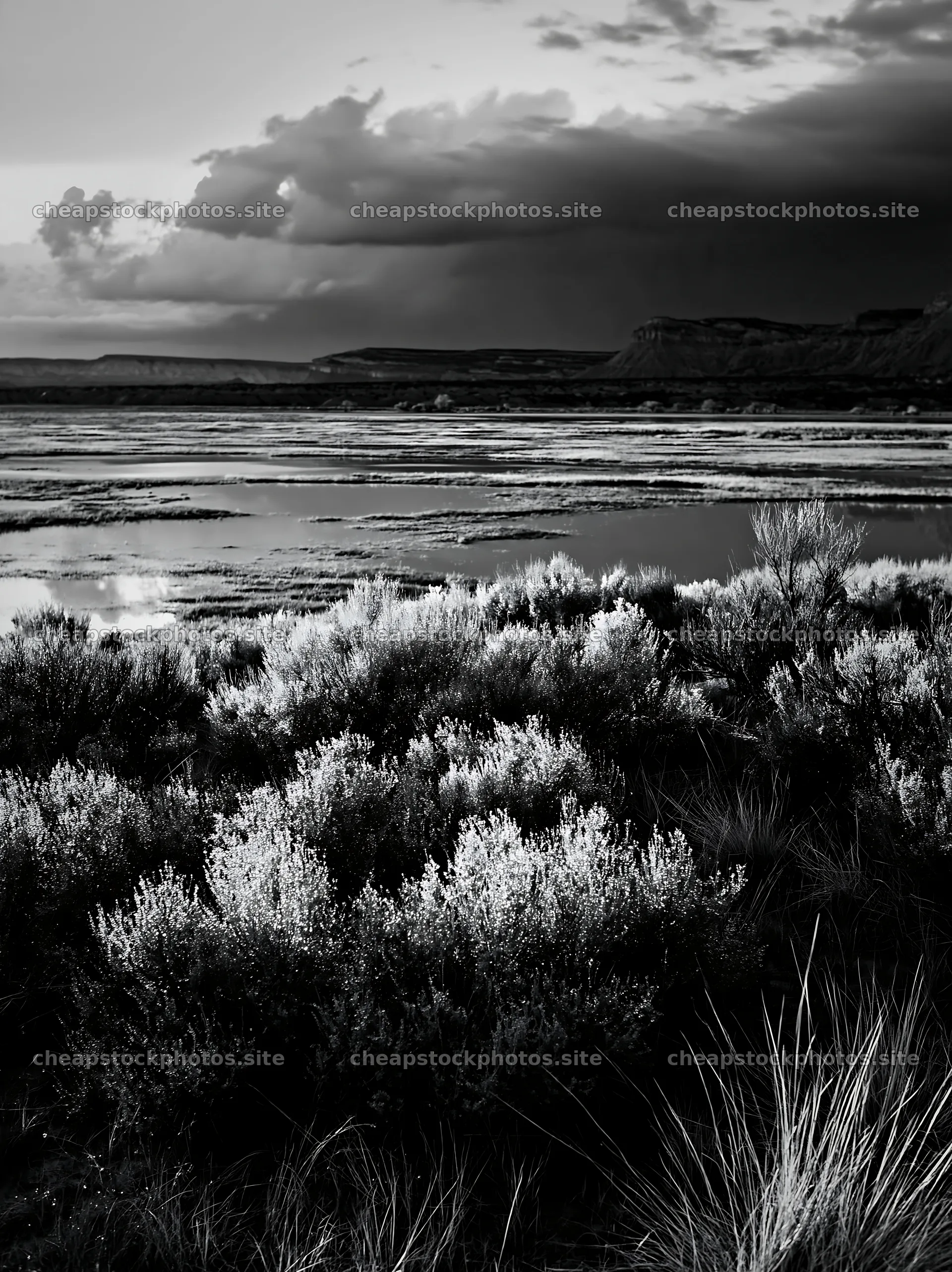 Sagebrush meadow under cloudy sky near a calm body of water – stock photos 6866x9174