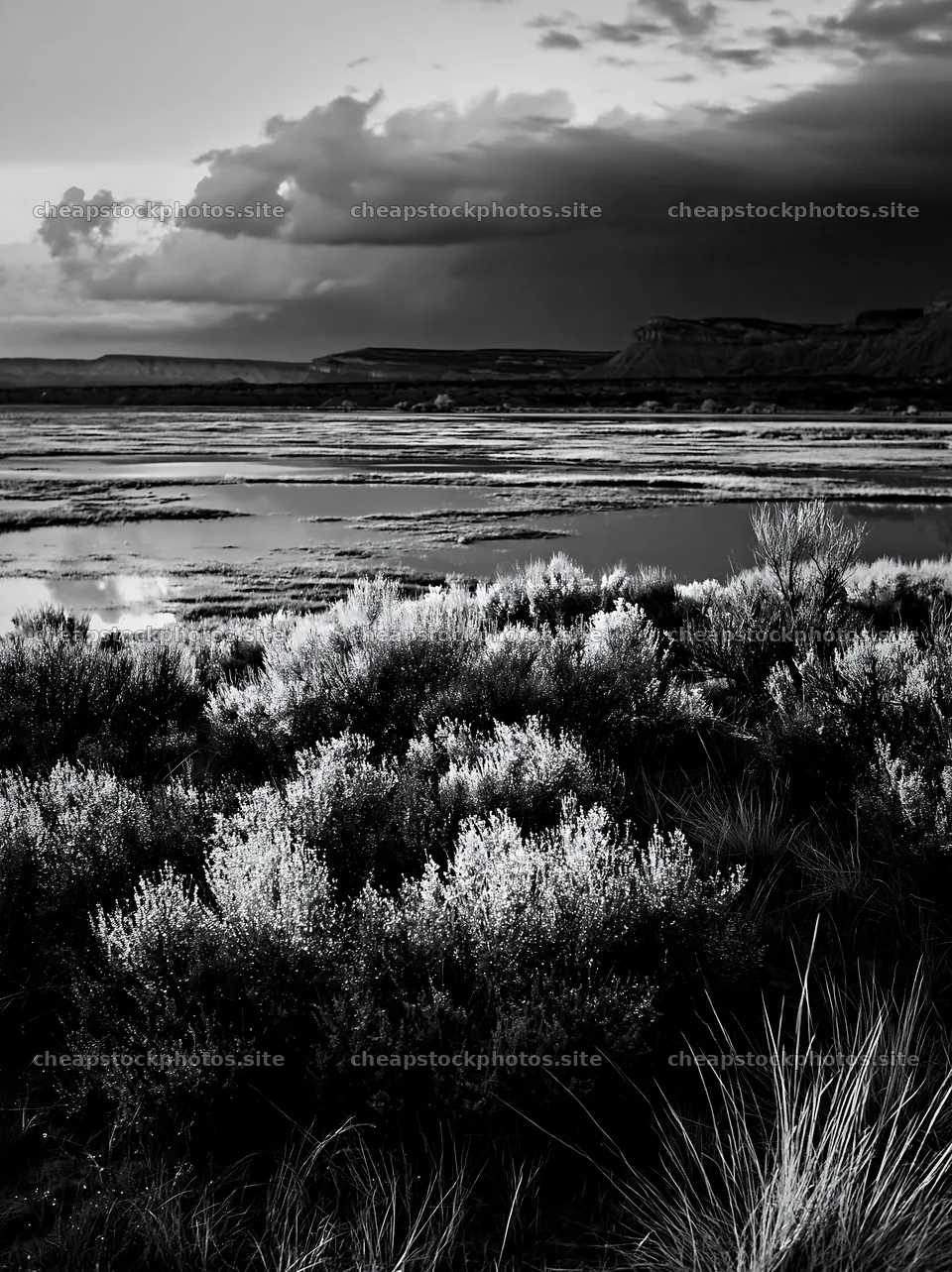 Sagebrush meadow under cloudy sky near a calm body of water – stock photos 6866x9174