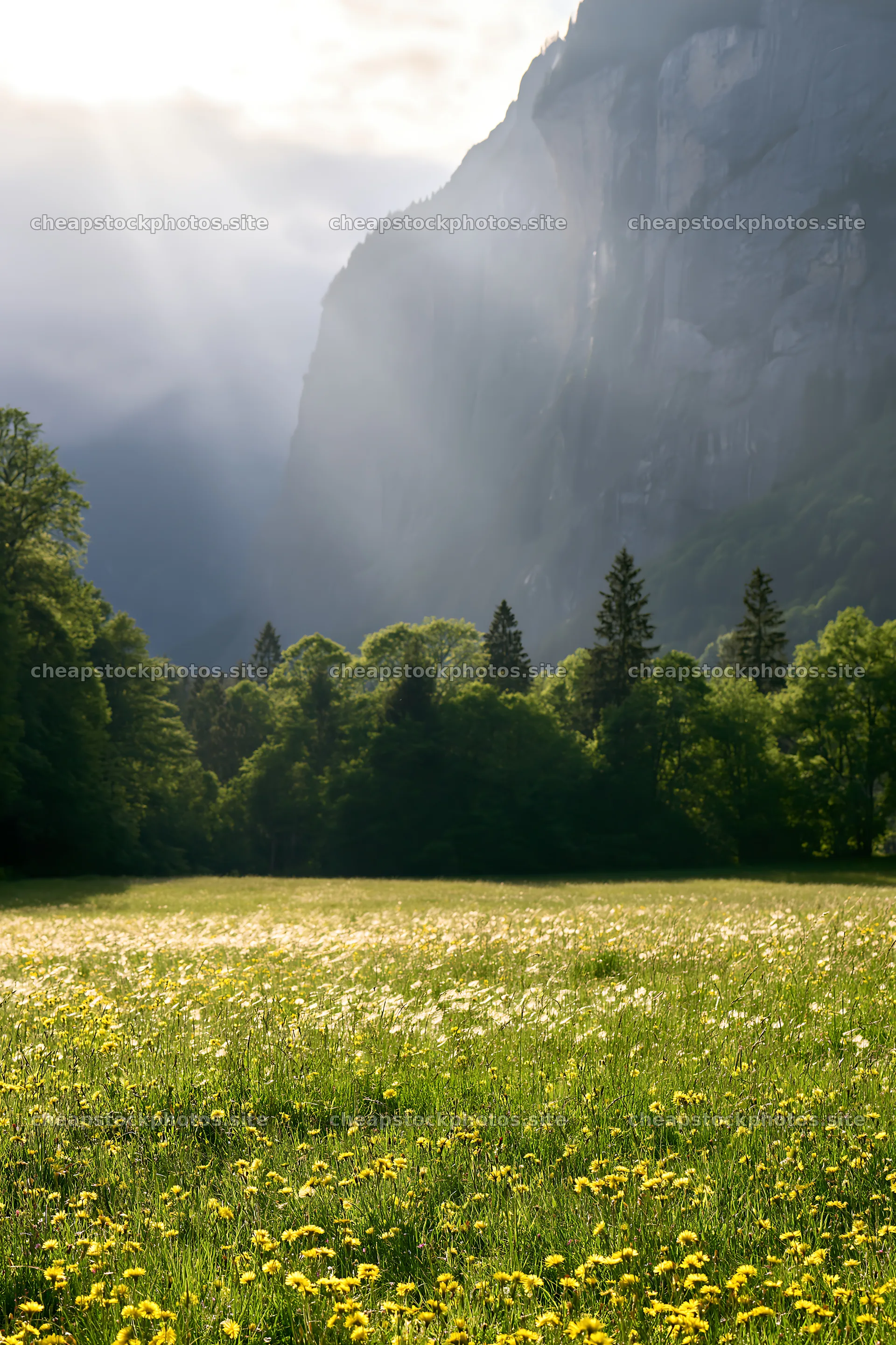 Lauterbrunnen Valley meadow with light rays cascading down – stock photos 6480x9722