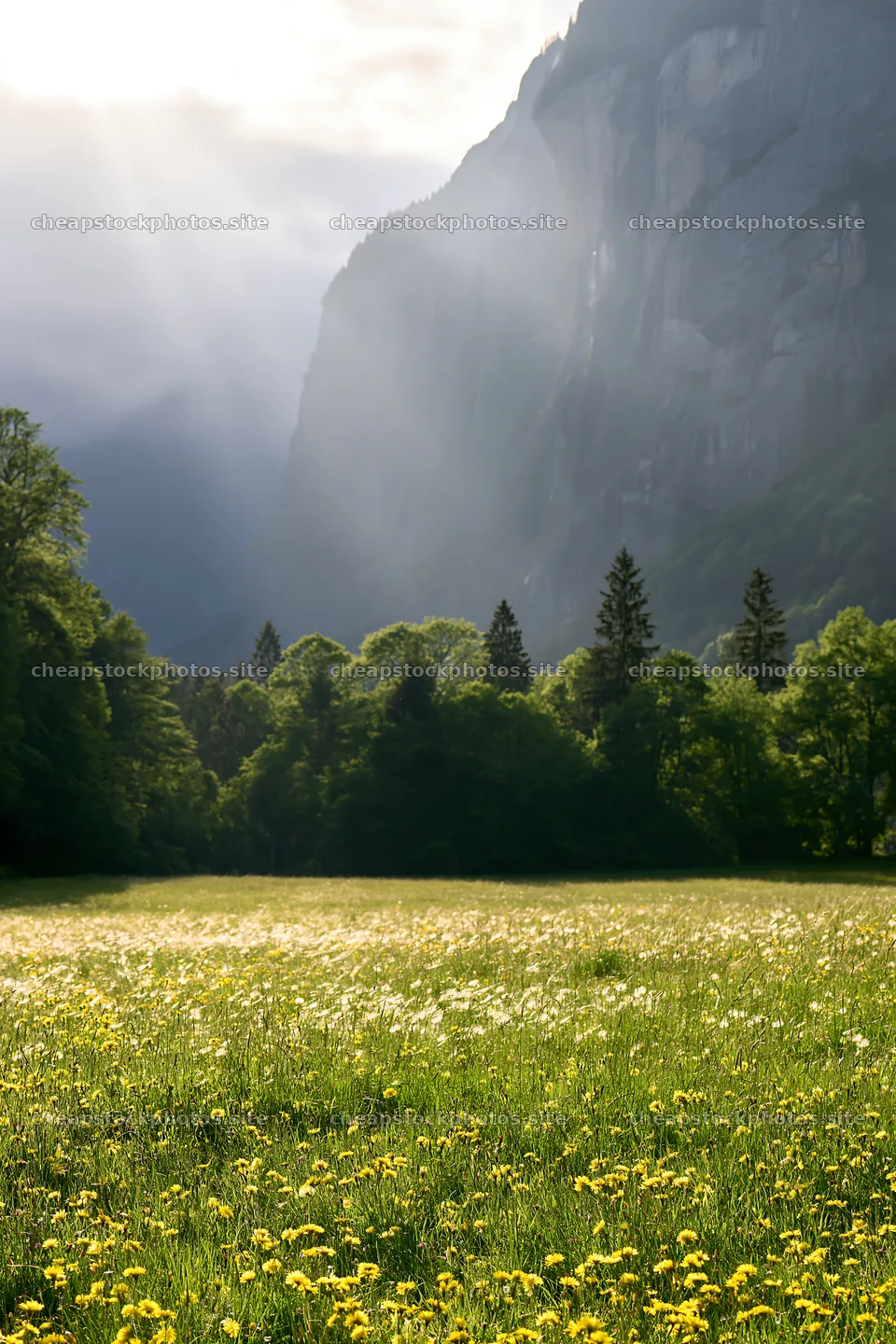 Lauterbrunnen Valley meadow with light rays cascading down – stock photos 6480x9722