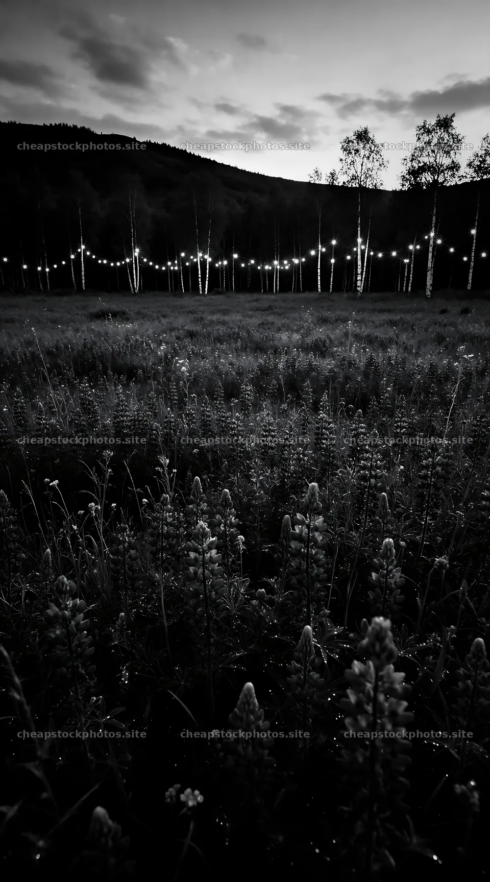 Vibrant Christmas lights glowing in a meadow at dusk – stock photos 5916x10648