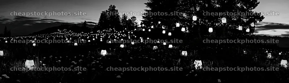Vibrant Christmas lanterns glowing in twilight sky over meadow – stock photos 14762x4268