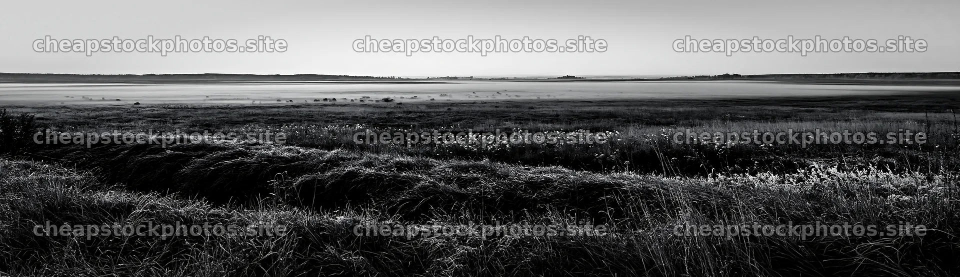 Frosty meadow at sunrise with mist and distant horizon – stock photos 14762x4268