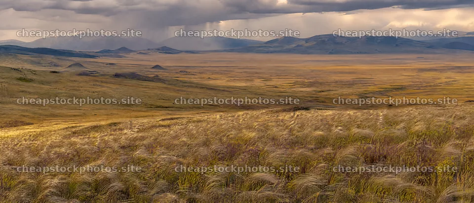 Rewilding meadow displays open grasslands and distant mountains – stock photos 12116x5200