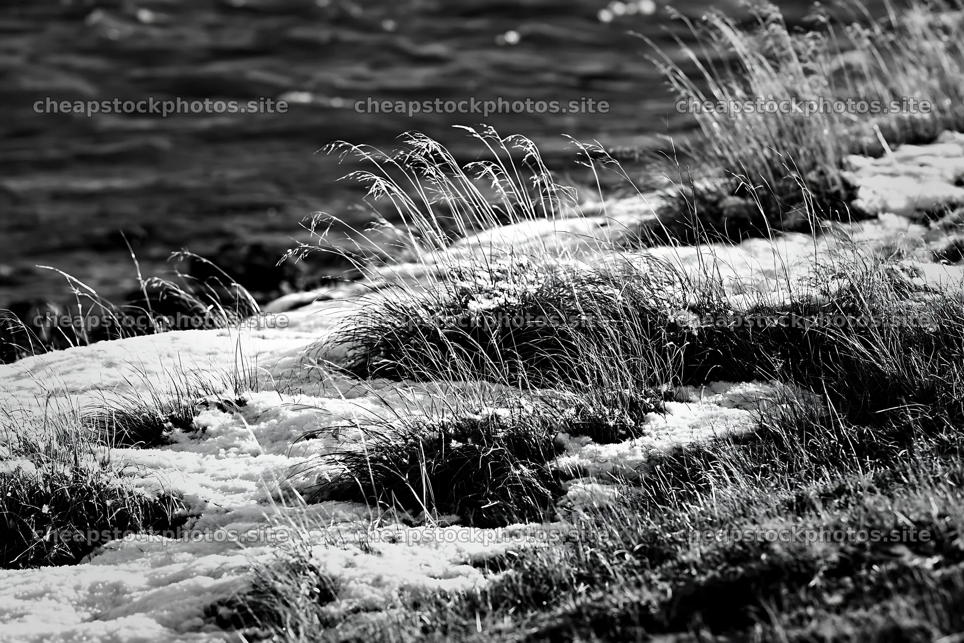 Lakeside meadow after first snowfall in black and white – stock photos 9722x6480