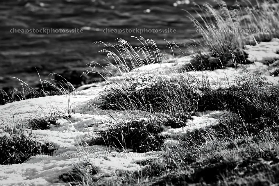 Lakeside meadow after first snowfall in black and white – stock photos 9722x6480