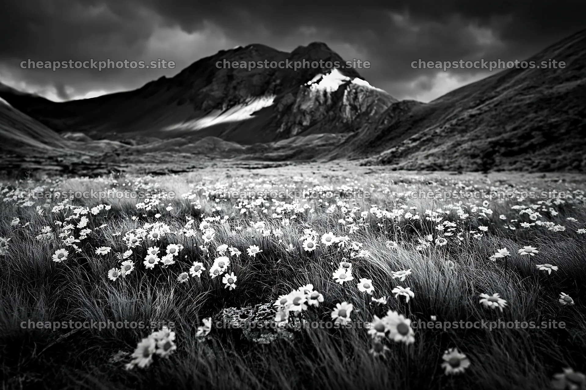 Meadow with flowers beneath rocky mountain crags – stock photos 9722x6480