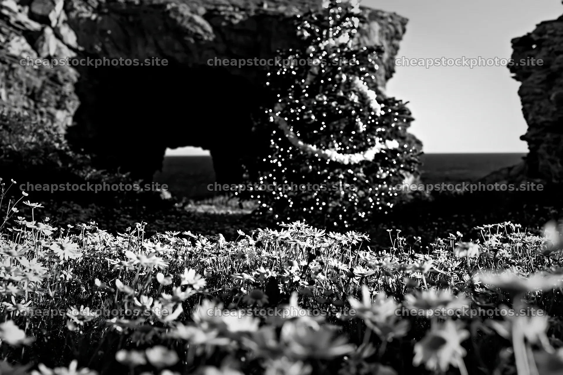 Christmas tree with lights in meadow by cave – stock photos 9722x6480