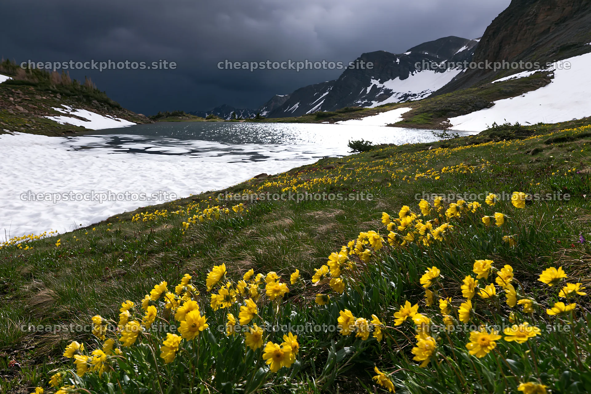 Frozen tarn meadow with yellow flowers under dark clouds – stock photos 9722x6480