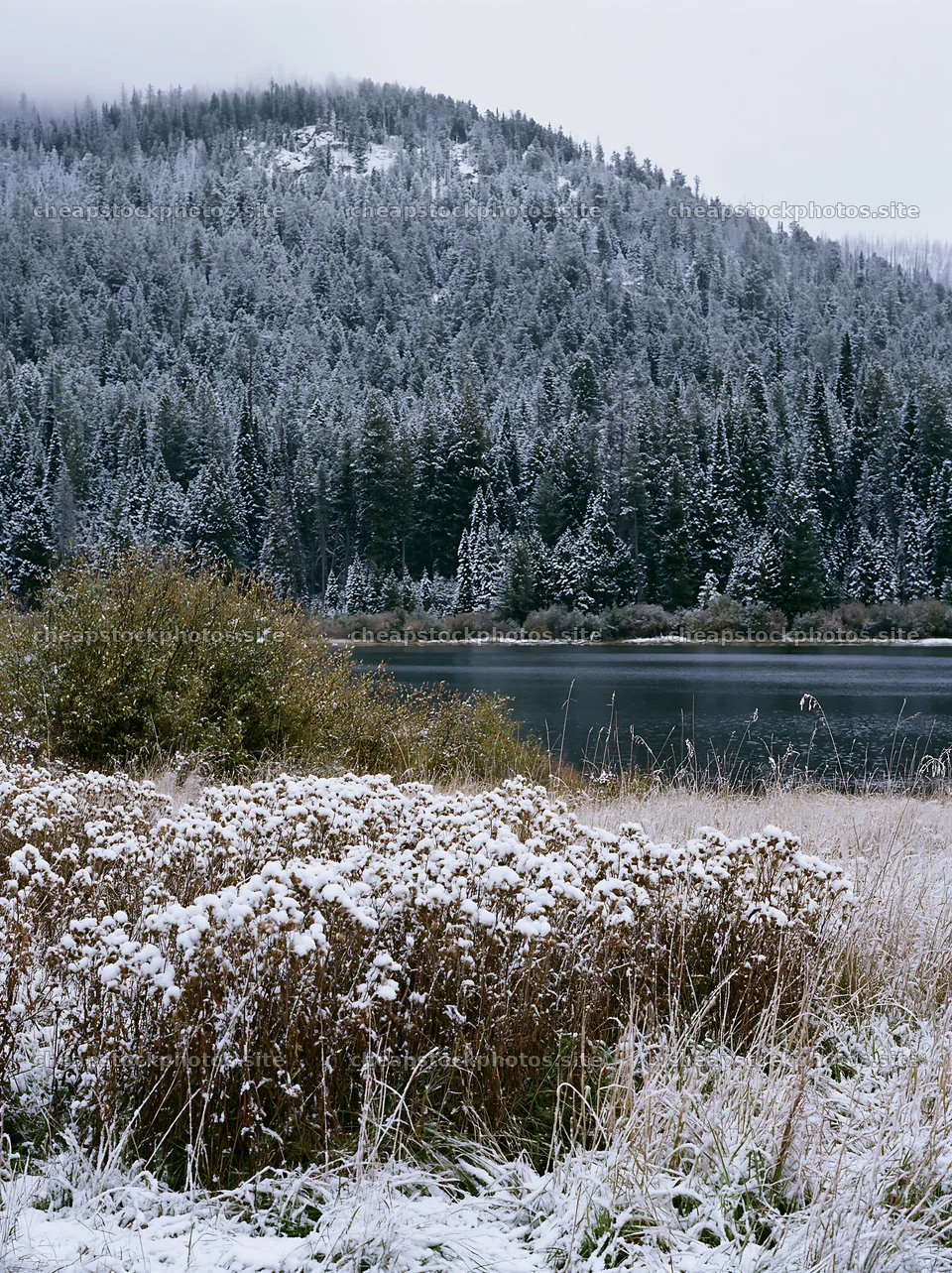 Lakeside meadow covered in fresh snow near a forest – stock photos 6866x9174