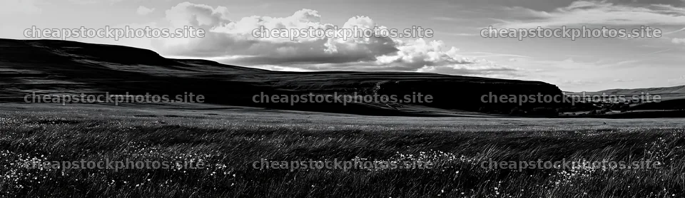 Yorkshire Dales buttercup hay meadow in black and white – stock photos 14762x4268